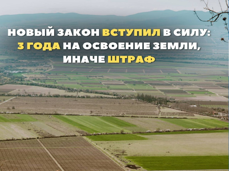 С марта прошлого года закон требует не только оформить право собственности, но и начать реальное использование земли.