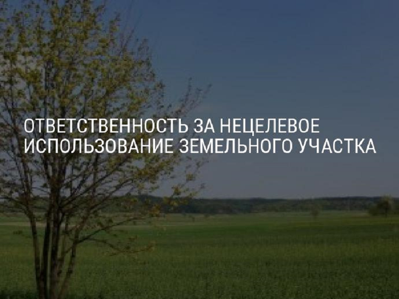 Нецелевое использование земельных участков..