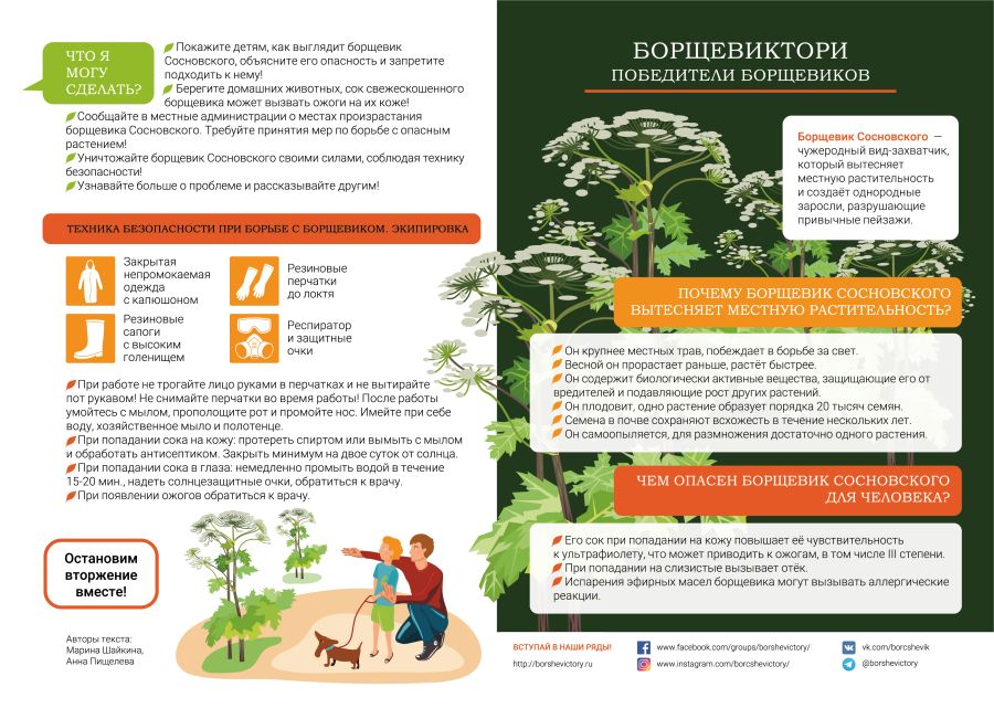Осторожно, Борщевик!.